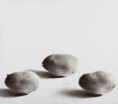 /album/ceruzarajzok-pencil-drawings/dsc-2408-jpg/
